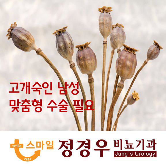 고개숙인 남성 음경보형물 맞춤형 수술 필요