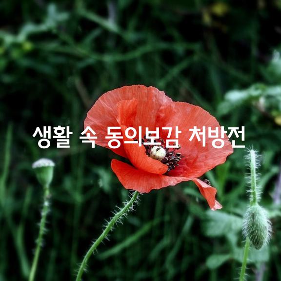 생활 속 동의보감 처방전