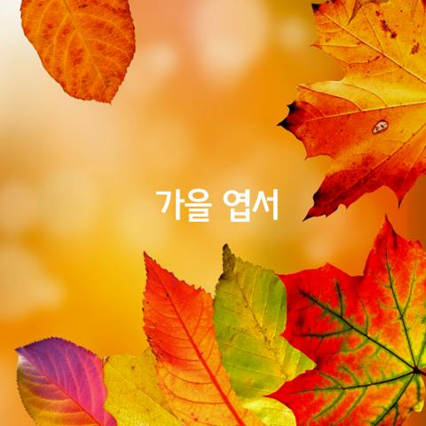 가을 엽서