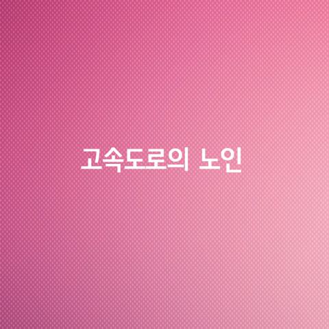 고속도로의 노인