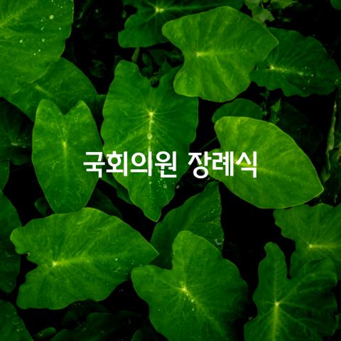 국회의원 장례식
