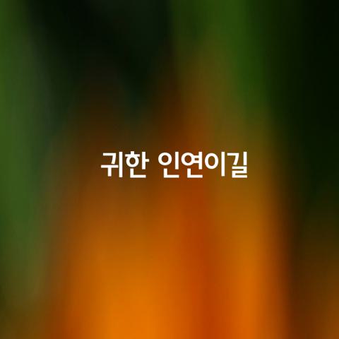 귀한 인연이길