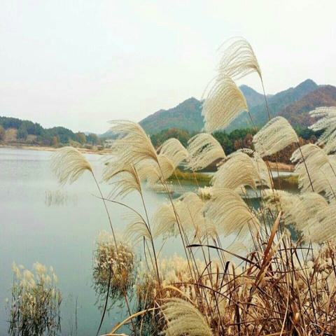 그래도 내 귀에는 원재선