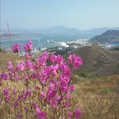 그리운 강산 조동선