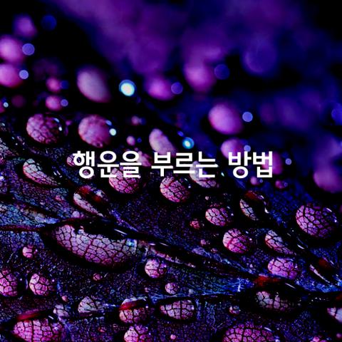 긍정의 에너지로 행운을 부르는 방법