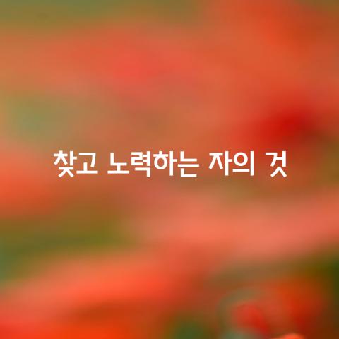 기회는 찾고 노력하는 자의 것