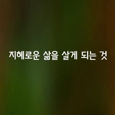 나 라는 상이 있는 사람은 소리를 내지만 마음을 비