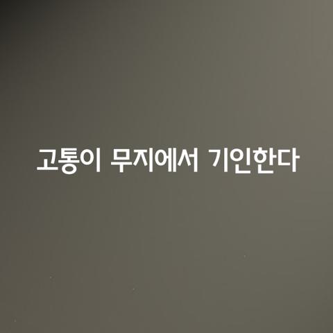 나는 모든 고통이 무지에서 기인한다고 믿습니다 사람들