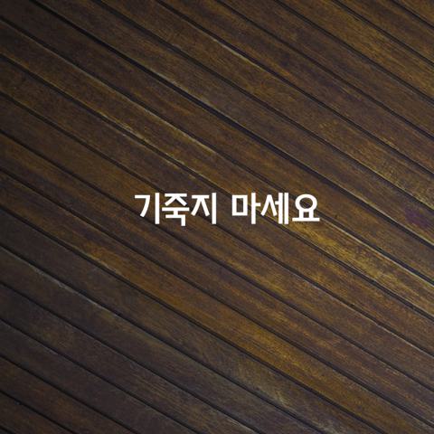 나무가 될 수 없으면