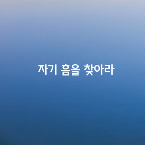 남의 흠보다는 자기 흠을 찾아라
