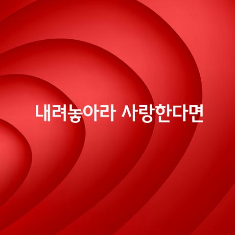 내려놓아라 사랑한다면