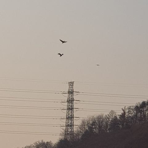 너에게로 김경철