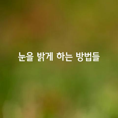 눈을 밝게 하는 가지 방법