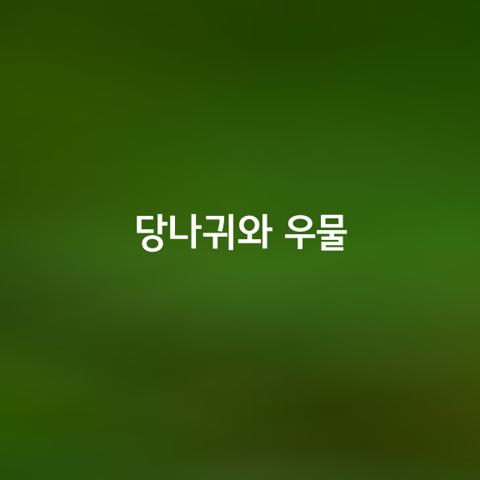 당나귀와 우물