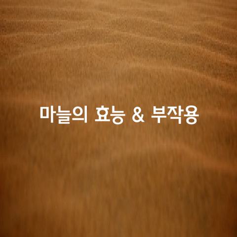 마늘의 효능 마늘의 부작용