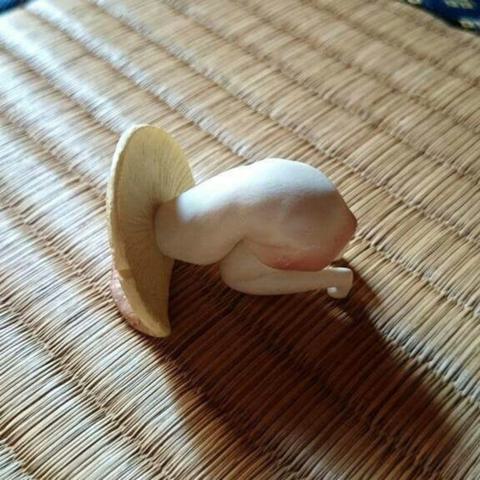 무지