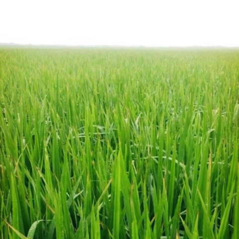 바람아 한진섭
