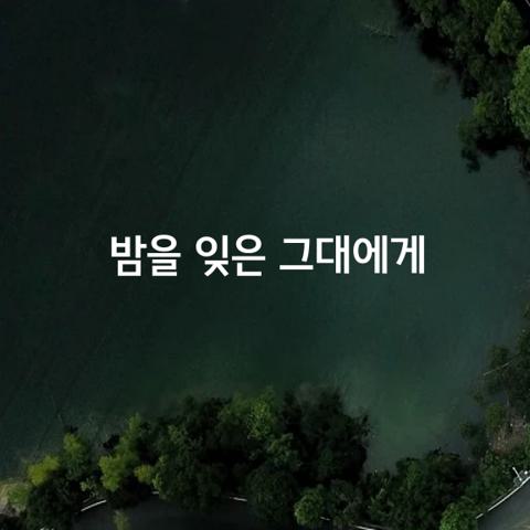 밤을 잊은 그대에게