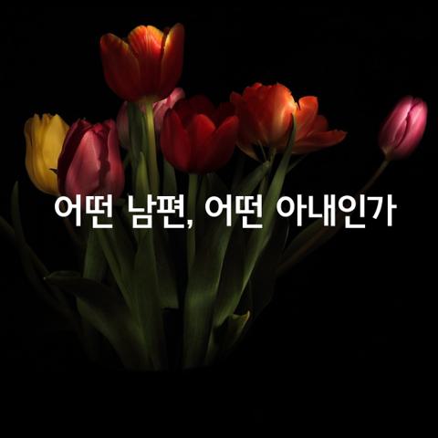 부부