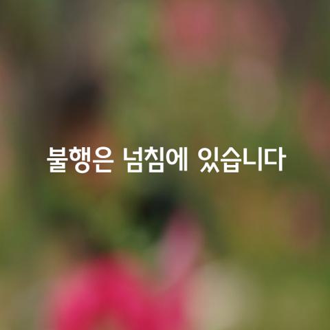 불행은 넘침에 있습니다
