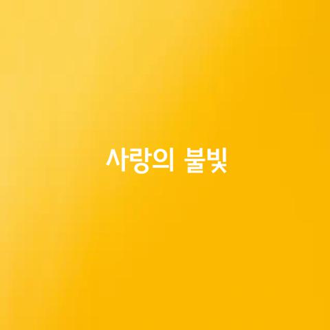 사랑의 불빛