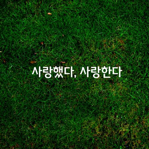 사랑했다 사랑한다