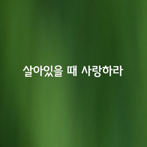 살아있을 때 사랑하라