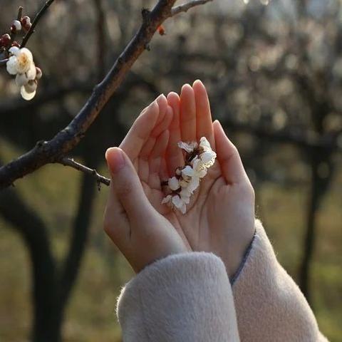 새 한 마리 정외숙