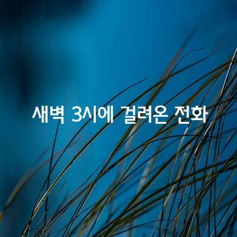 새벽 시에 동생에게서 걸려온 전화