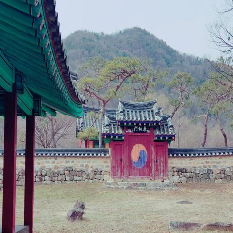 생각의 자동차 윤석진