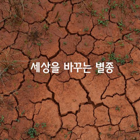 세상을 바꾸는 별종