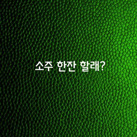 소주 한잔 할래