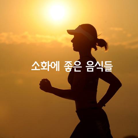 소화에 좋은 음식 가지