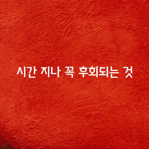 시간 지나면 꼭 후회되는 가지