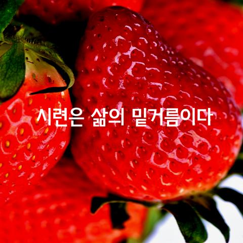 시련은 삶의 밑거름이다