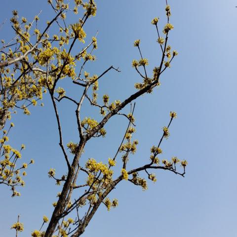 시절 인연 임수현