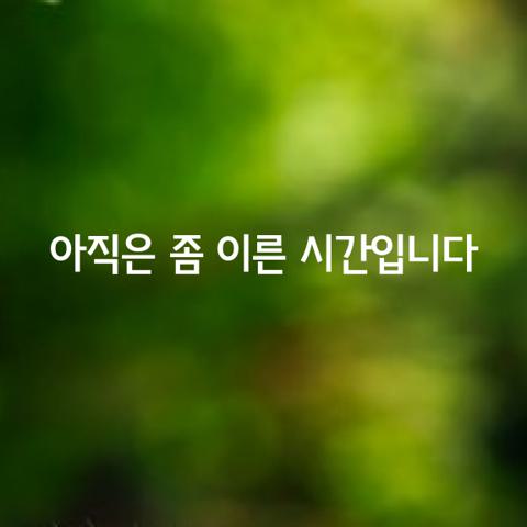 아직은 좀 이른 시간입니다