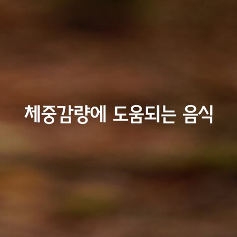 아침에 먹으면 체중감량에 도움되는 건강한 음식