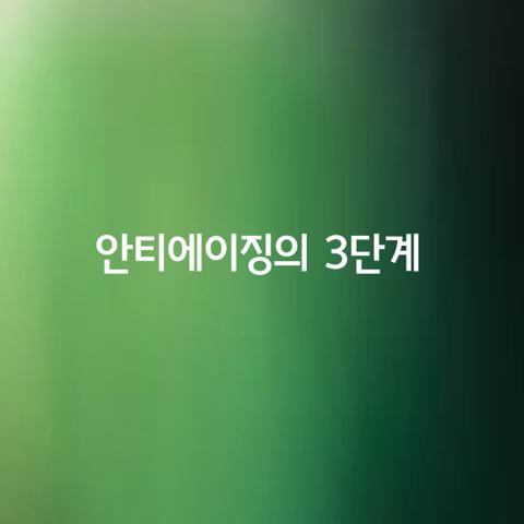 안티에이징의 단계