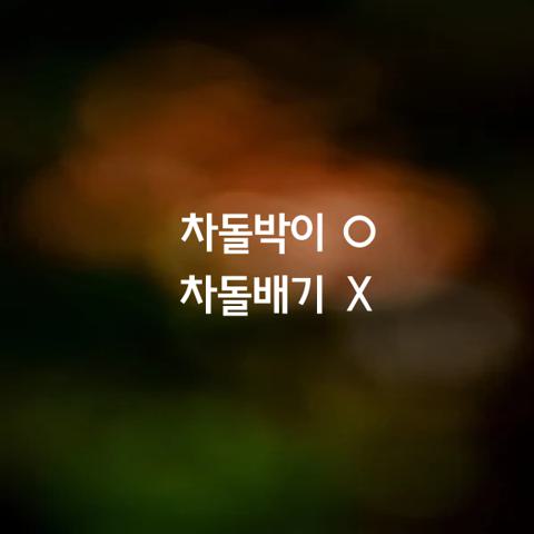 알쏭달쏭 우리말