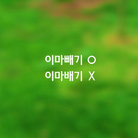 알쏭달쏭 우리말