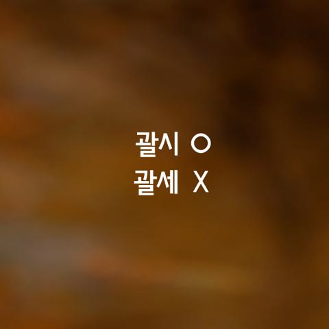 알쏭달쏭 우리말