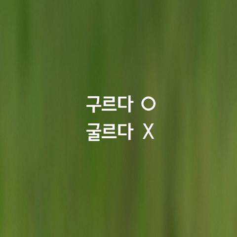 알쏭달쏭 우리말