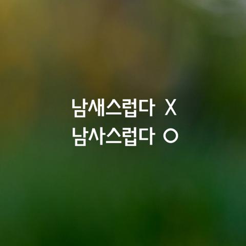 알쏭달쏭 우리말