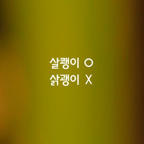 알쏭달쏭 우리말