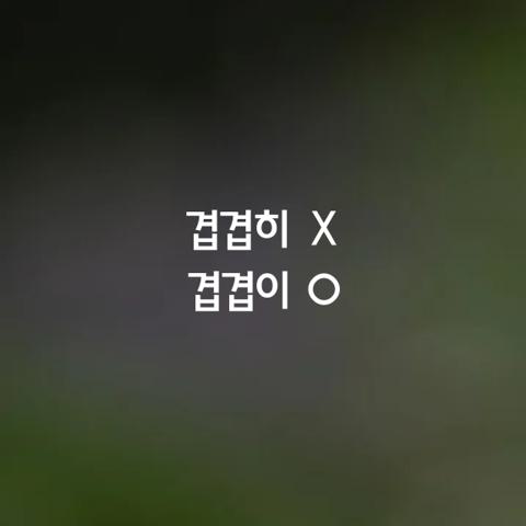 알쏭달쏭 우리말