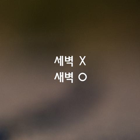 알쏭달쏭 우리말