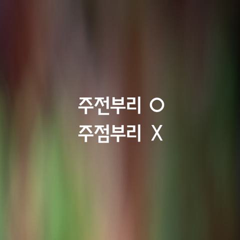 알쏭달쏭 우리말