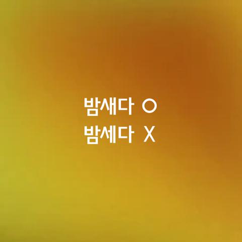 알쏭달쏭 우리말