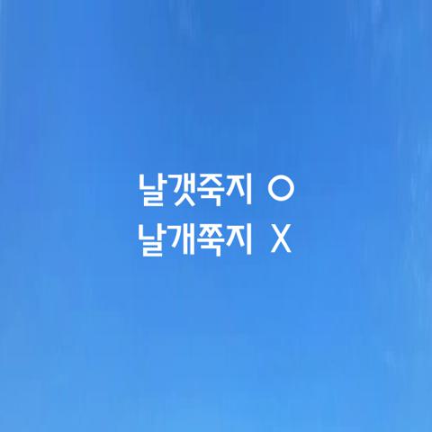 알쏭달쏭 우리말